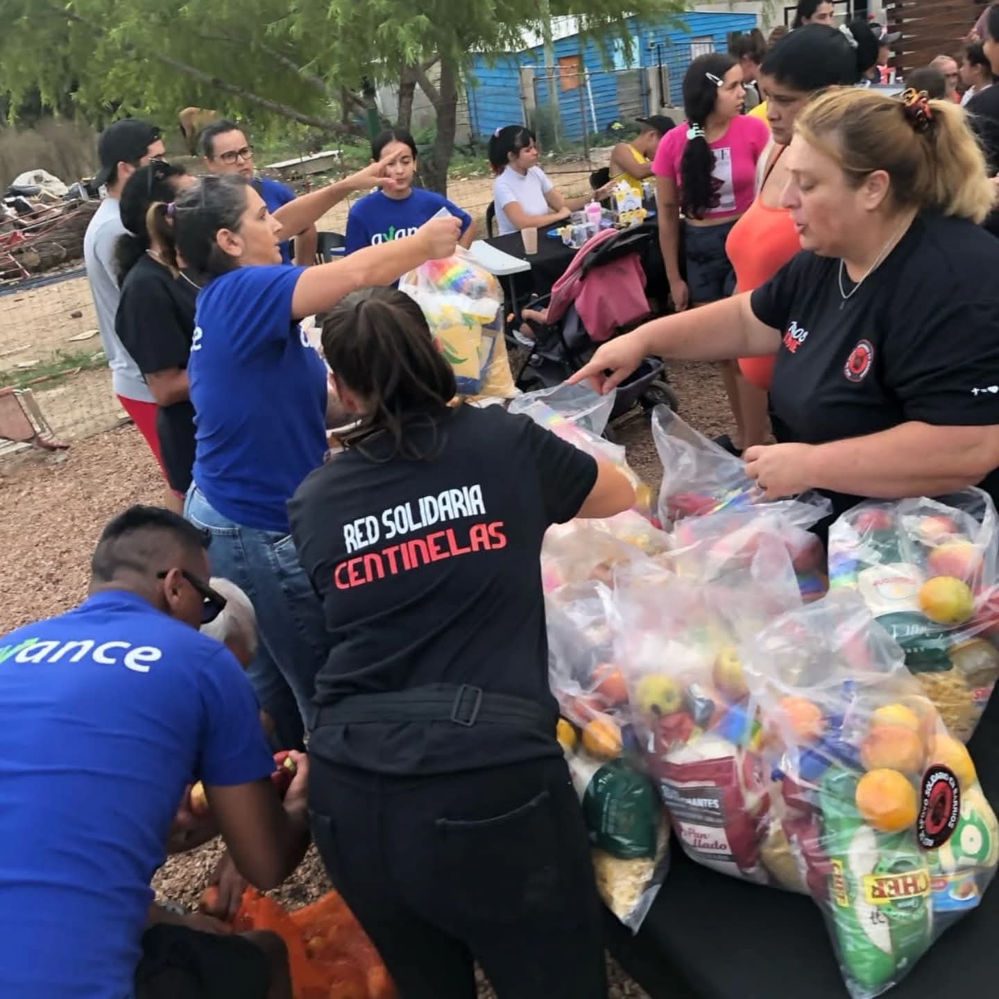 WhatsApp Image 2025-11-12 at 22.28.34 (1)